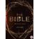 The Bible - TV Miniseries [DVD]